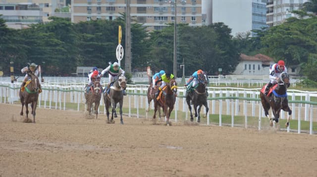 Cavalos de corrida podem ajudar a driblar a crise