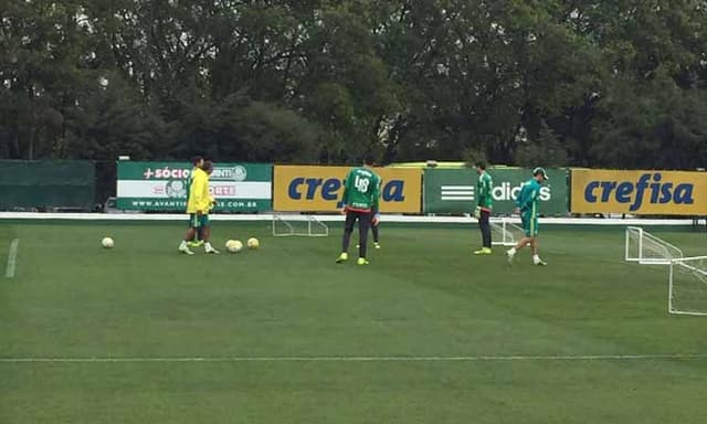 Treino Palmeiras