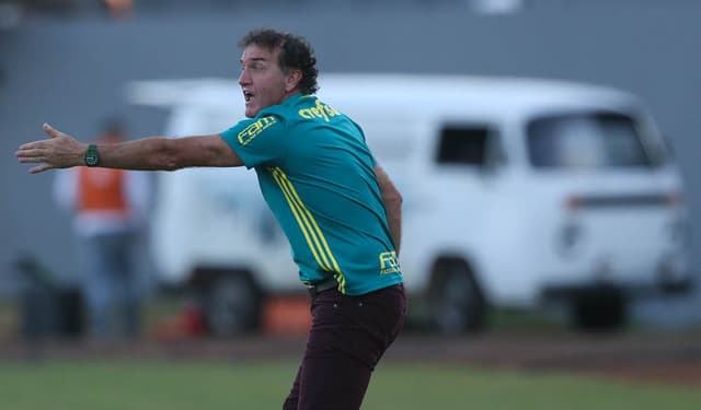 Cuca durante a vitória sobre o América-MG (Foto: Cesar Greco/Palmeiras)