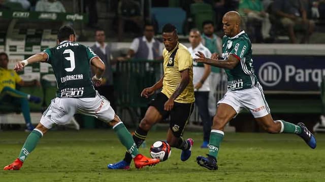 Palmeiras x São Bernardo