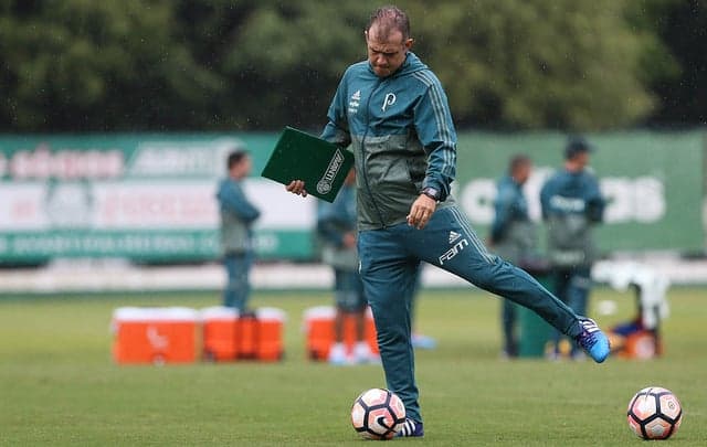 Verdão inicia sua campanha na Libertadores