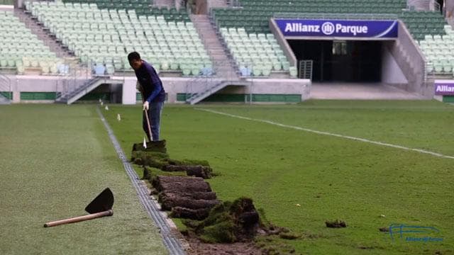 Allianz Parque