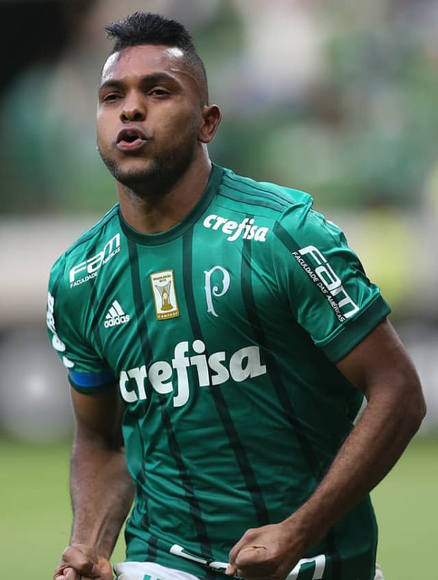 Borja - Palmeiras