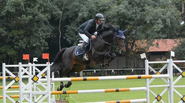 Disputa entre cavaleiros olímpicos é destaque no encerramento do Campeonato Paulista de Hipismo