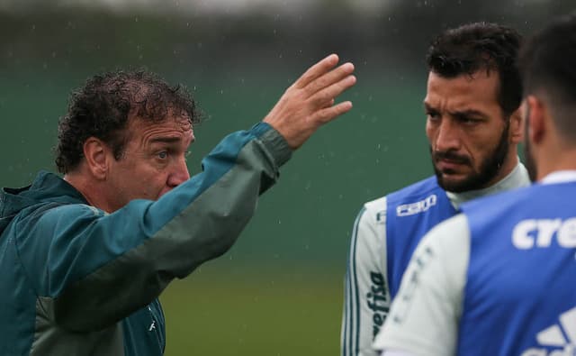 Palmeiras vê treino dar resultados e aprova atuação