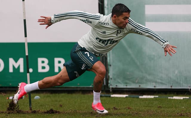 Dudu em treino do Palmeiras