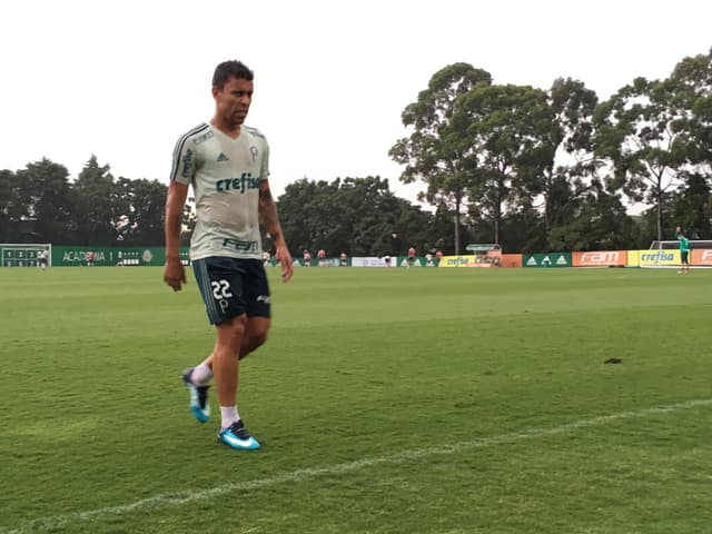 Marcos Rocha deixa o gramado após realizar trabalhos físicos