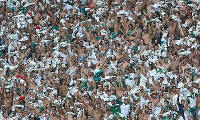 Torcida Palmeiras