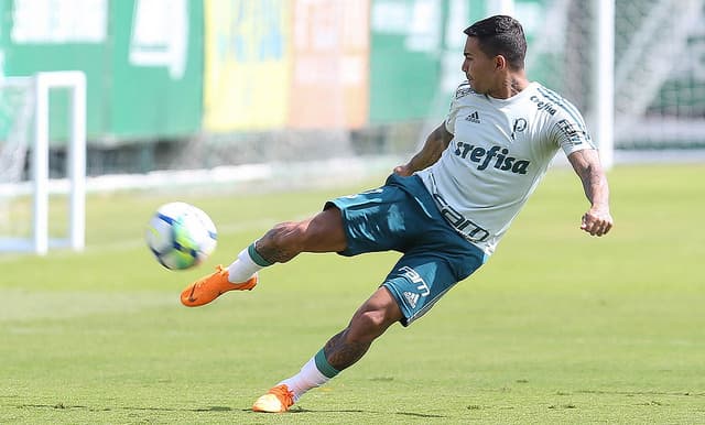 Treino - Palmeiras