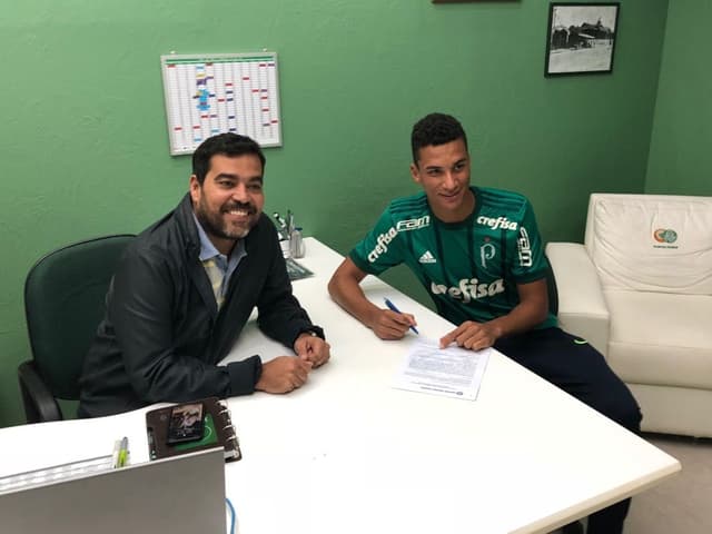 Renovação - Henri - Palmeiras