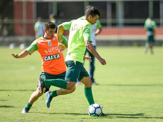 Treino américa