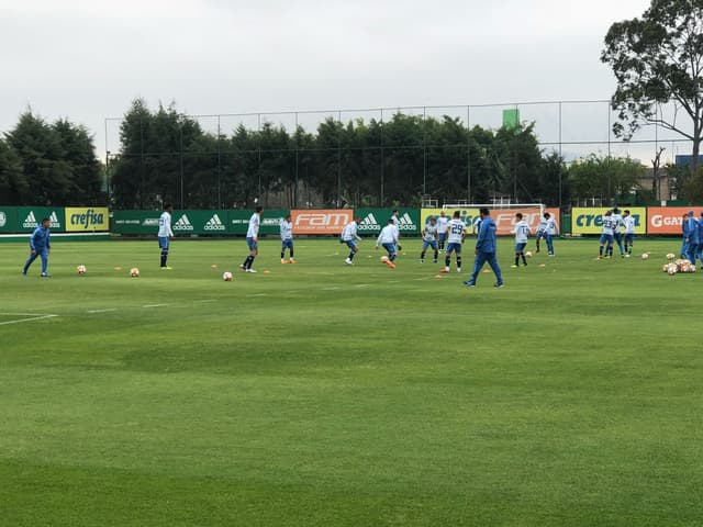 Treino - Palmeiras