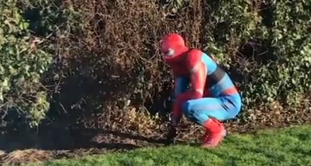 Vardy vestido de Homem-Aranha