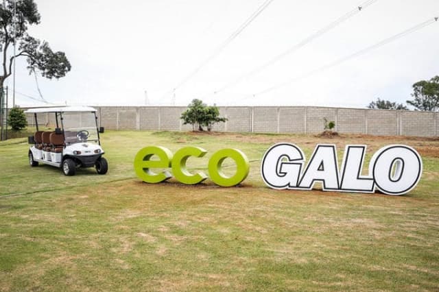 Eco Galo