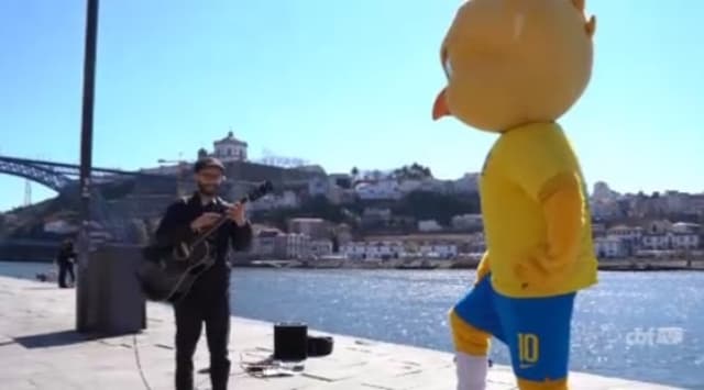 Canarinho passeia pelas ruas do Porto