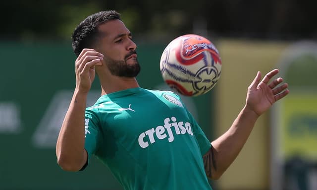 Luan - Palmeiras