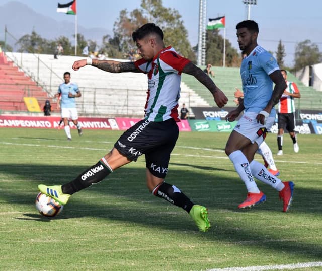 Camisa - Palestino