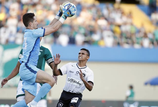 Imagens de Goiás 1x0 Botafogo