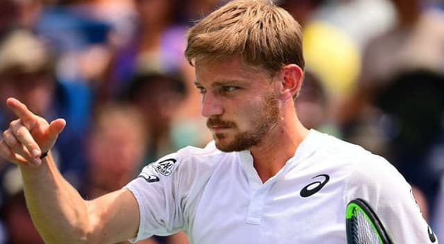 David Goffin