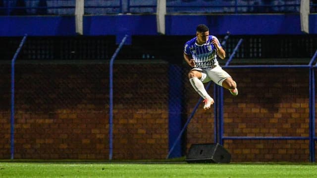 Avaí x Atlético-MG - Comemoração do Avaí