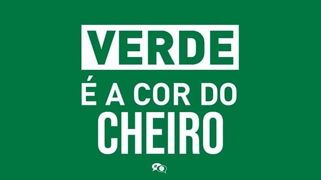 Web não perdoa Palmeiras após perda do título do Brasileirão