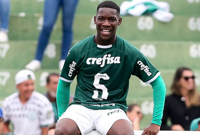 Patrick de Paula Palmeiras