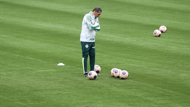 Vanderlei Luxemburgo Palmeiras