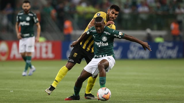 Patrick de Paula Palmeiras