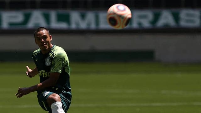 Gabriel Menino Palmeiras