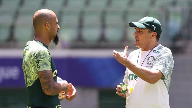 Felipe Melo Vanderlei Luxemburgo Palmeiras