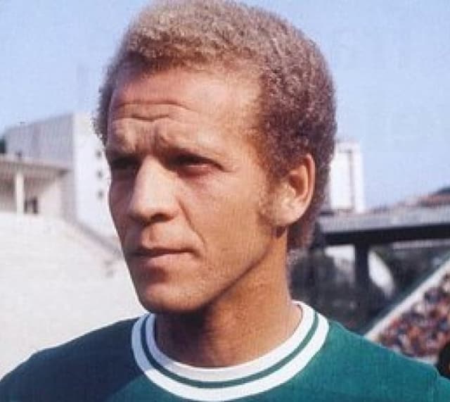 Ademir da Guia Palmeiras