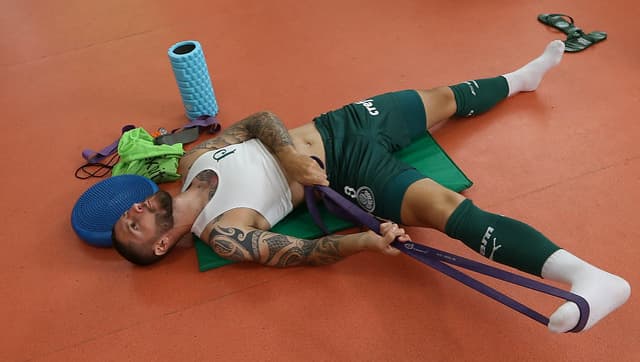 Zé Rafael Palmeiras