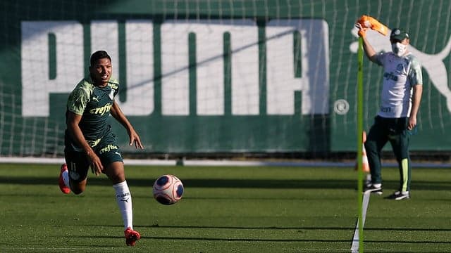 Rony Palmeiras