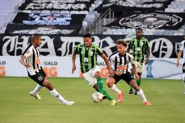 Galo e Coelho