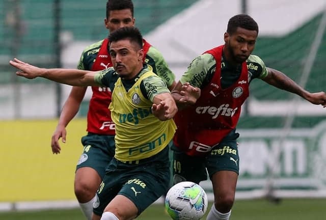 Treino Palmeiras