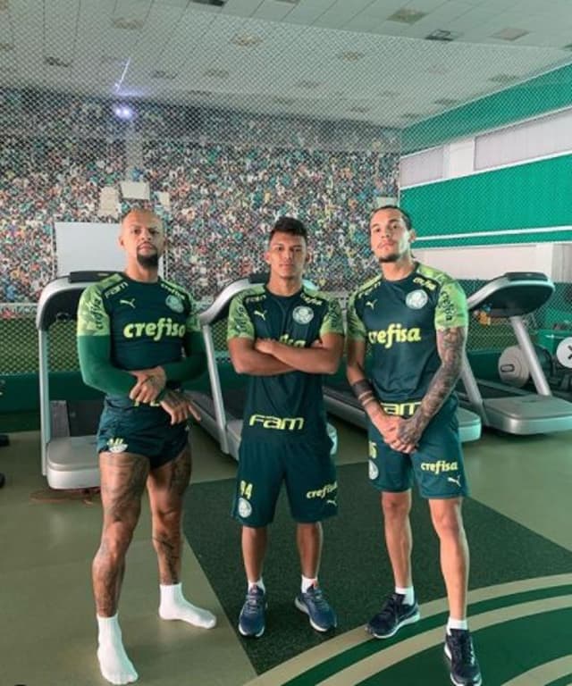 Palmeiras