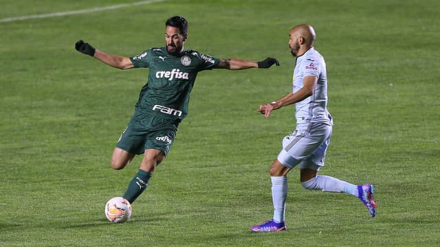 Luan Palmeiras