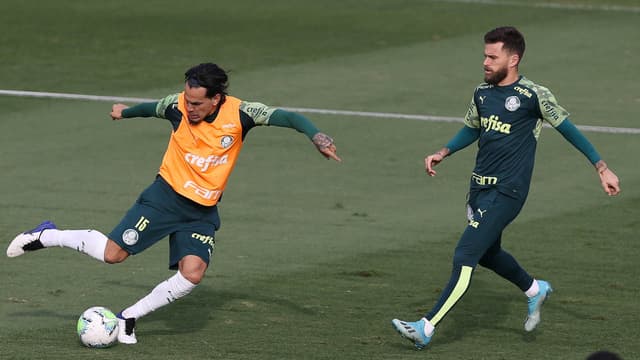 Palmeiras treino