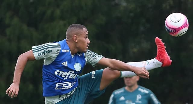 Papagaio Palmeiras