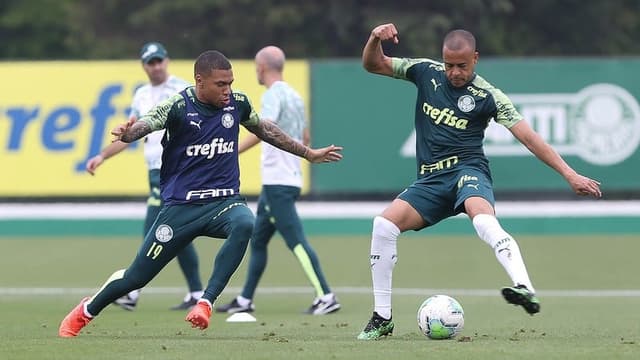 Lucas Esteves Palmeiras