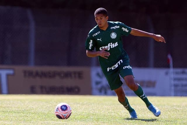 Gabriel Vareta Palmeiras