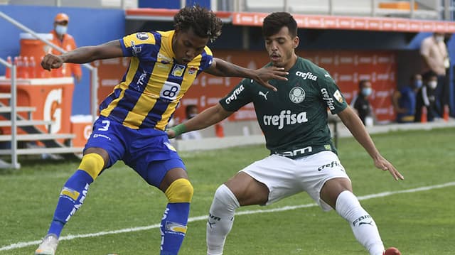 Delfin x Palmeiras