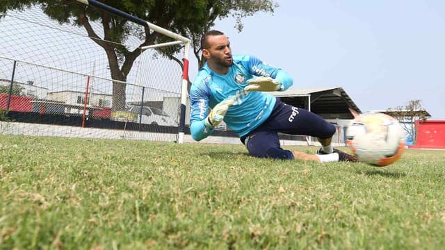 Weverton Palmeiras