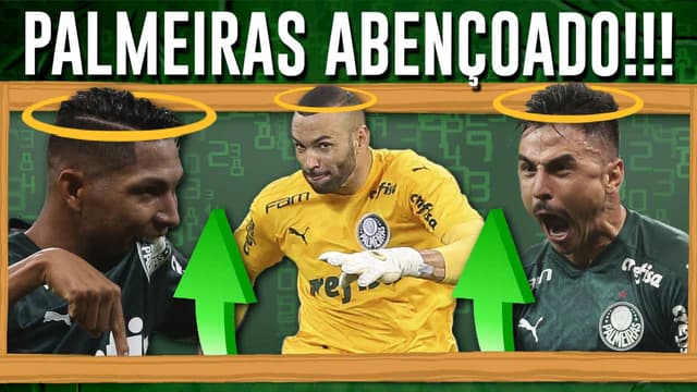 Palmeiras - Nosso Palestra