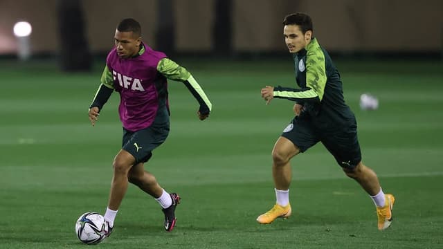 Palmeiras treino