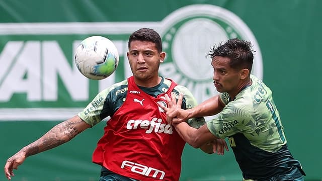 Palmeiras treino Scarpa