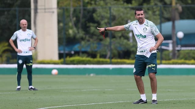 Auxiliares Palmeiras