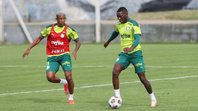 Palmeiras treino