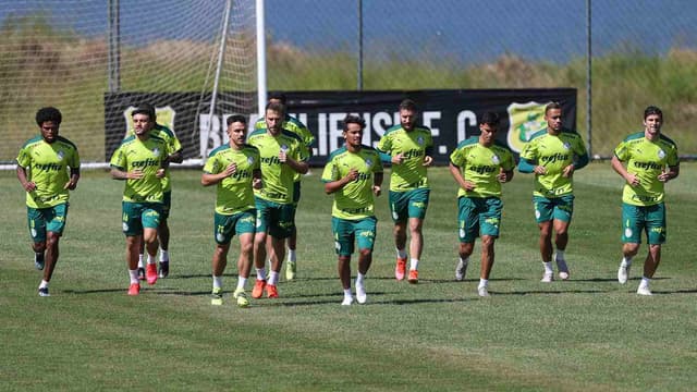 Palmeiras treino