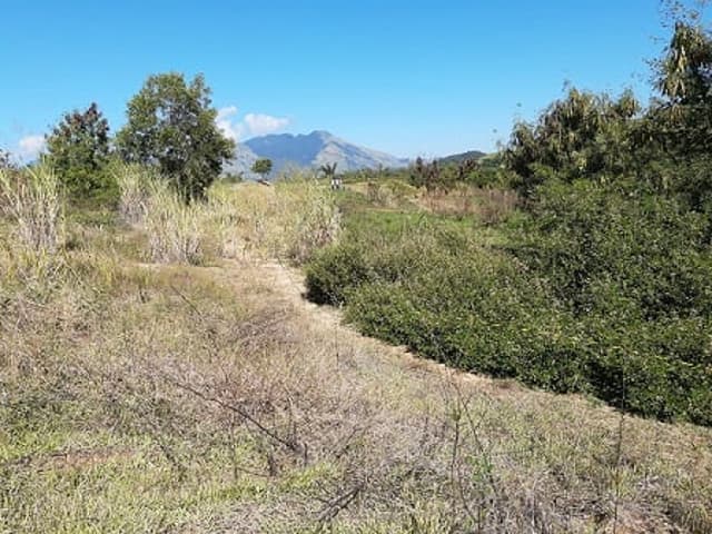 Pista de mountain bike será reativada (Foto: Divulgação)